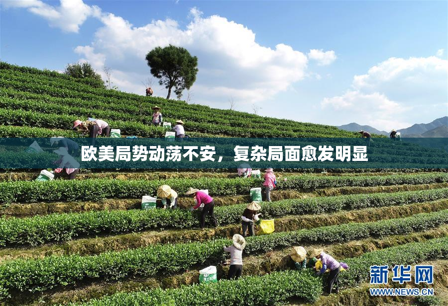 欧美局势动荡不安，复杂局面愈发明显