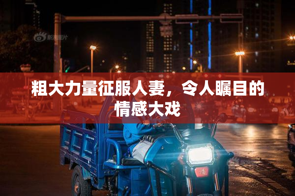 粗大力量征服人妻，令人瞩目的情感大戏