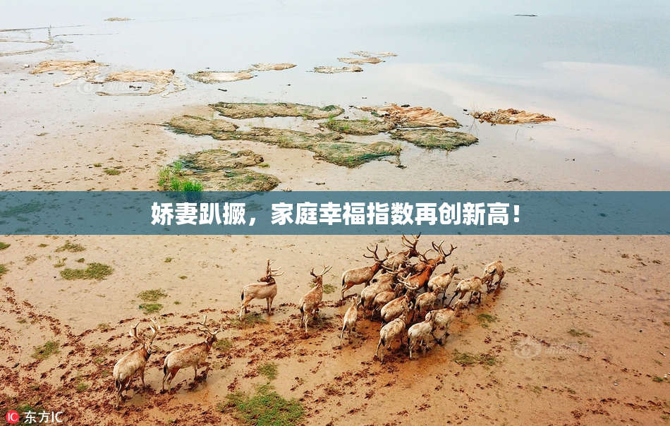 娇妻趴撅，家庭幸福指数再创新高！