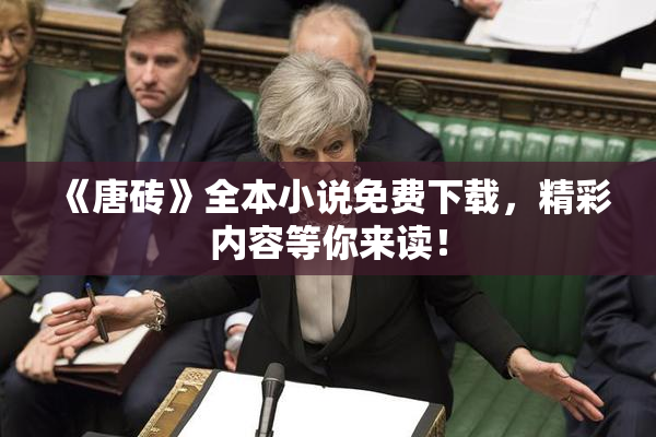《唐砖》全本小说免费下载，精彩内容等你来读！