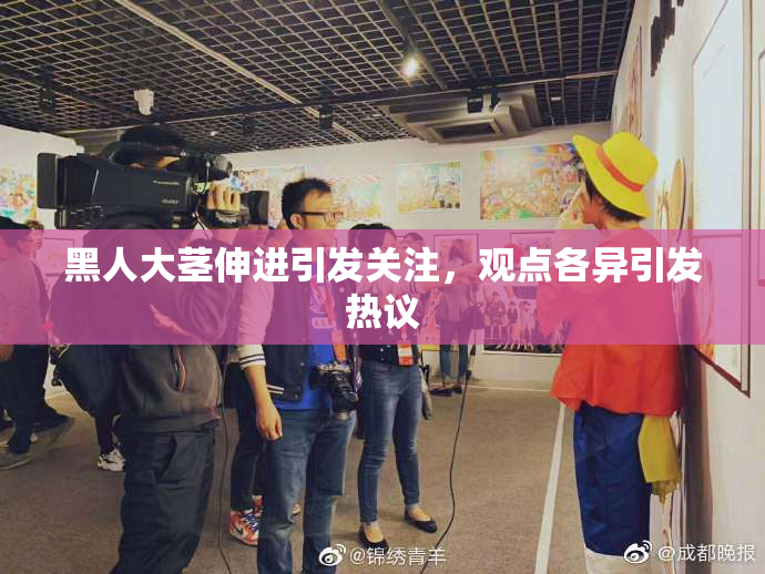 黑人大茎伸进引发关注，观点各异引发热议