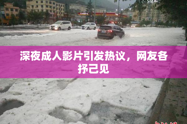 深夜成人影片引发热议，网友各抒己见