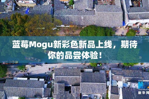 蓝莓Mogu新彩色新品上线，期待你的品尝体验！