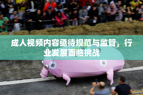 成人视频内容亟待规范与监管，行业发展面临挑战