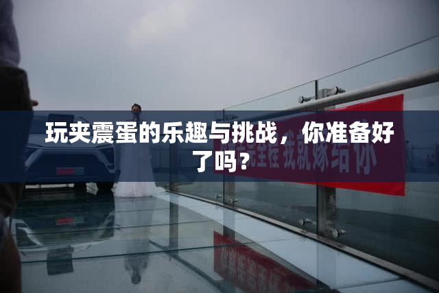 玩夹震蛋的乐趣与挑战，你准备好了吗？