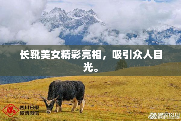 长靴美女精彩亮相，吸引众人目光。
