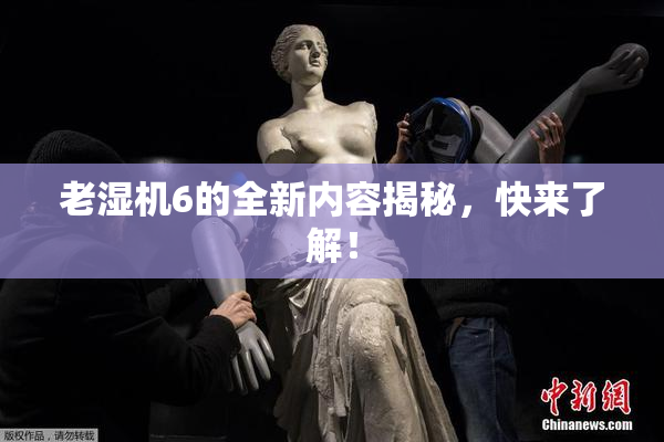 老湿机6的全新内容揭秘，快来了解！