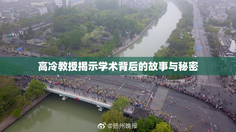 高冷教授揭示学术背后的故事与秘密