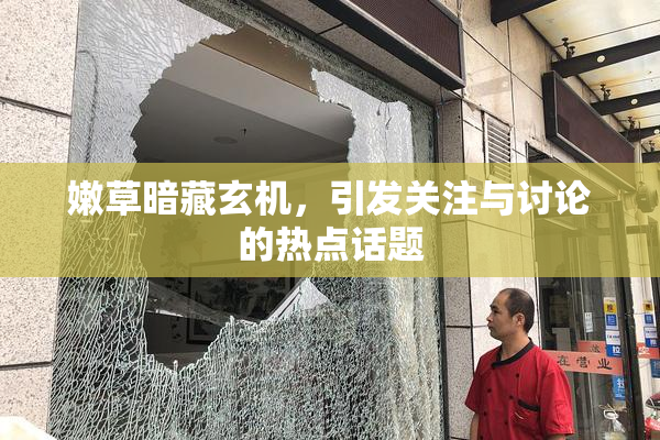 嫩草暗藏玄机，引发关注与讨论的热点话题