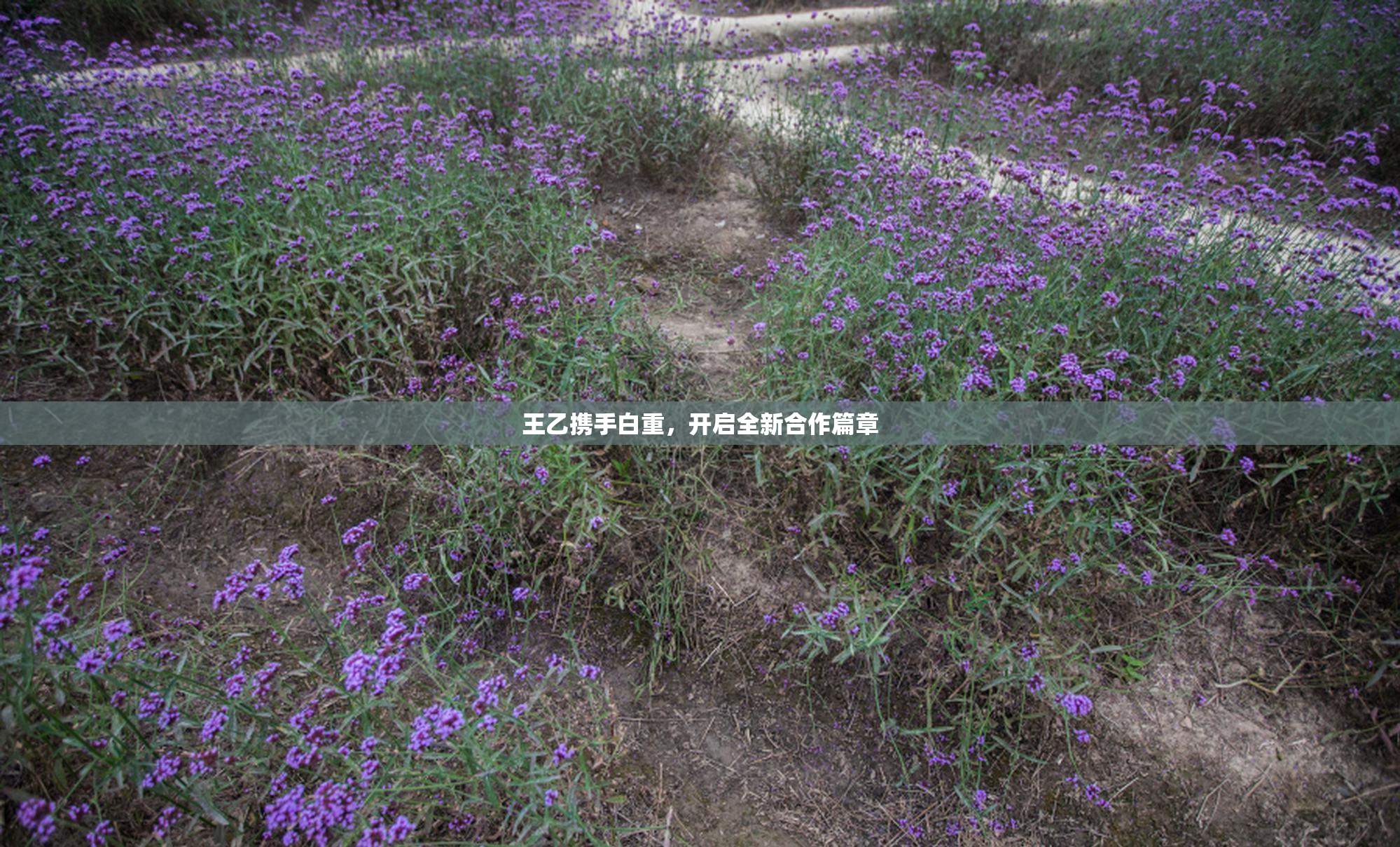 王乙携手白重，开启全新合作篇章