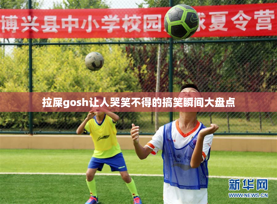 拉屎gosh让人哭笑不得的搞笑瞬间大盘点