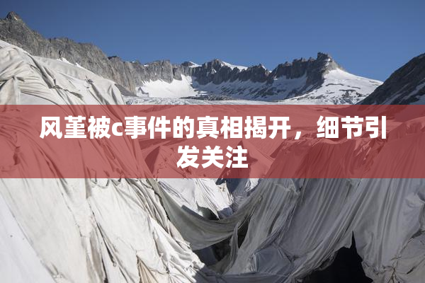 风堇被c事件的真相揭开，细节引发关注