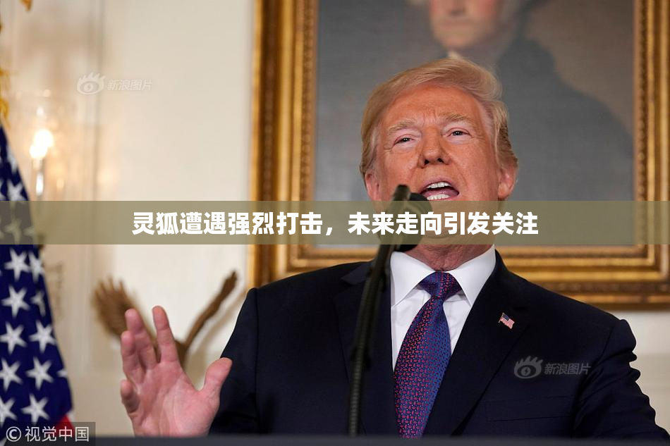 灵狐遭遇强烈打击，未来走向引发关注
