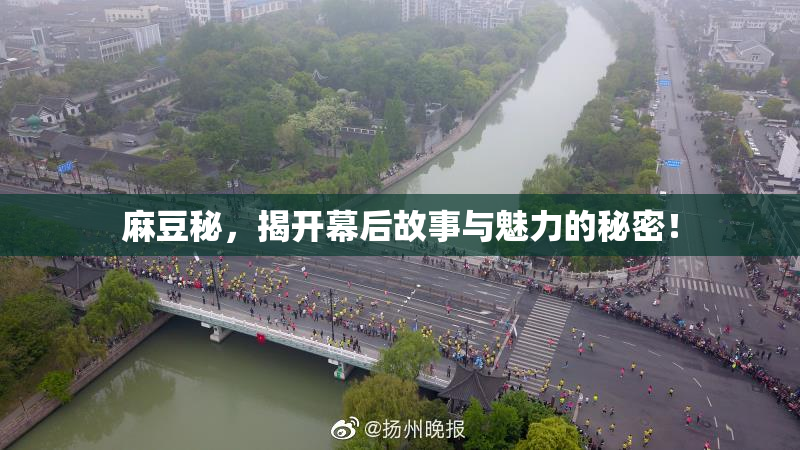 麻豆秘，揭开幕后故事与魅力的秘密！