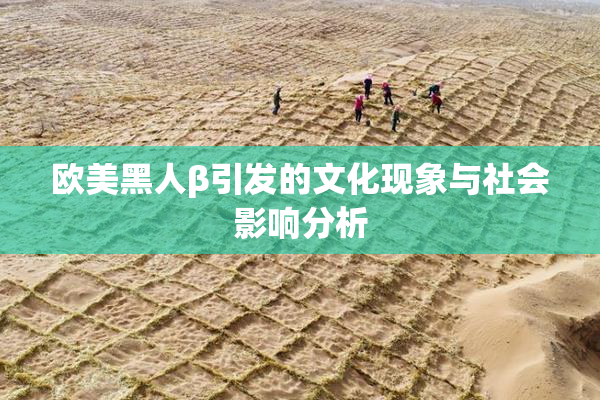 欧美黑人β引发的文化现象与社会影响分析