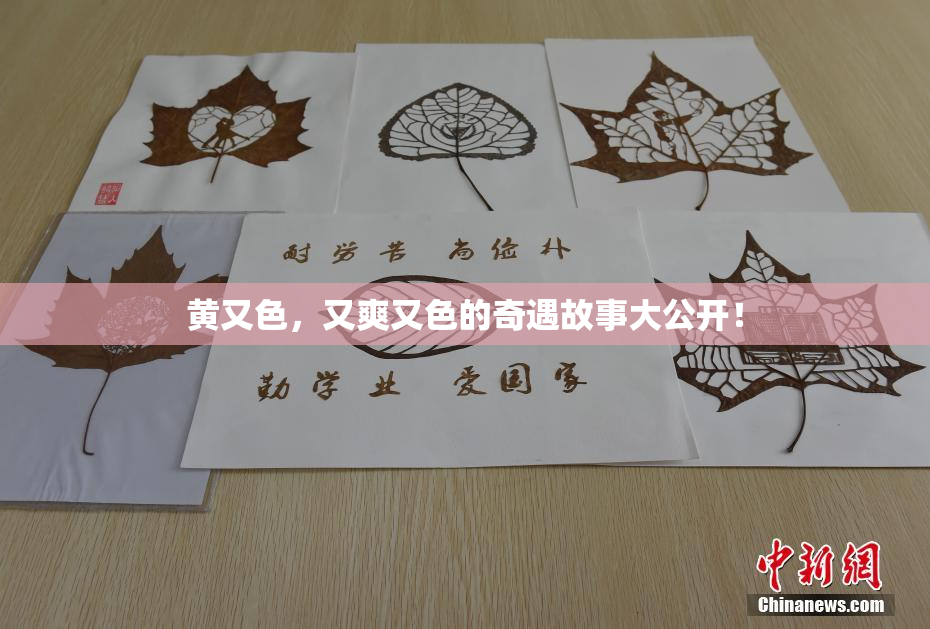 黄又色，又爽又色的奇遇故事大公开！