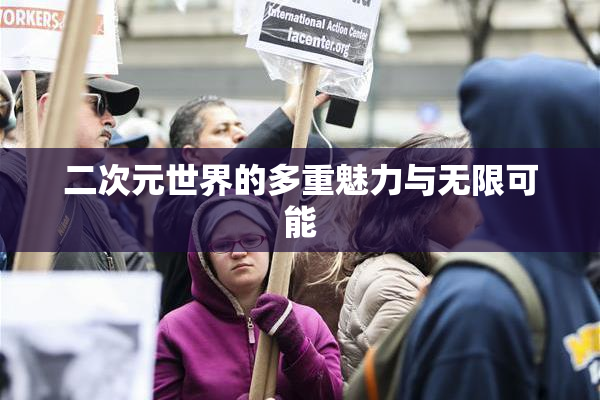 二次元世界的多重魅力与无限可能