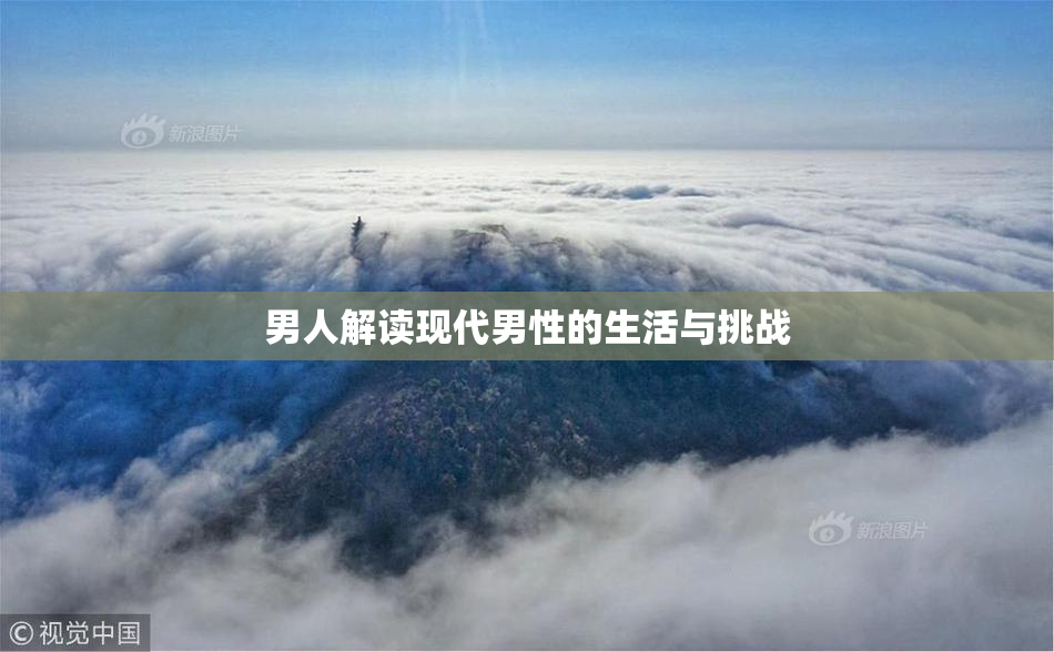 男人解读现代男性的生活与挑战