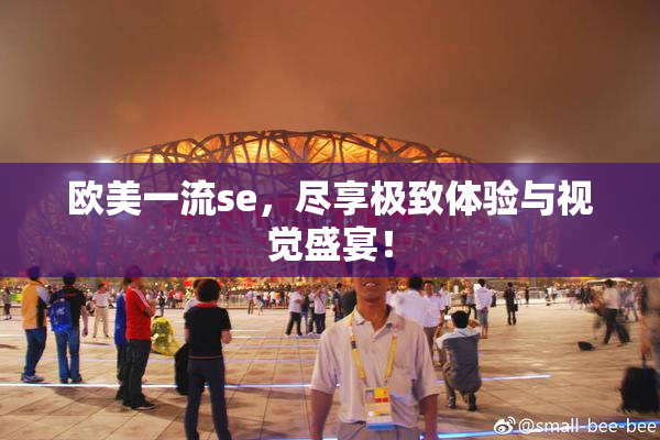 欧美一流se，尽享极致体验与视觉盛宴！