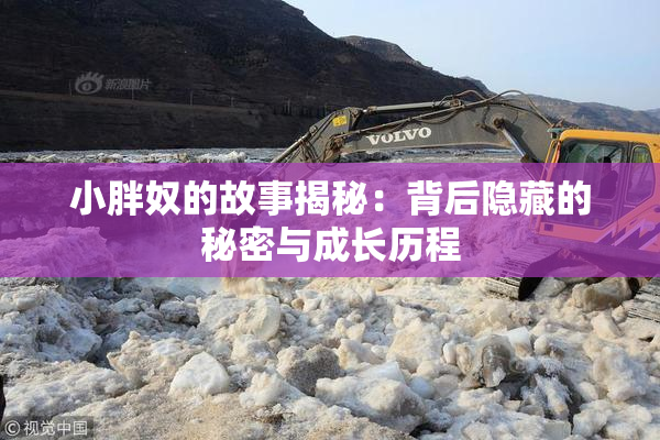 小胖奴的故事揭秘：背后隐藏的秘密与成长历程