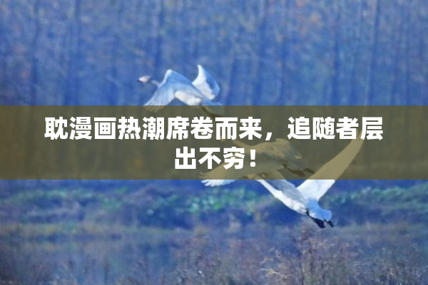 耽漫画热潮席卷而来，追随者层出不穷！