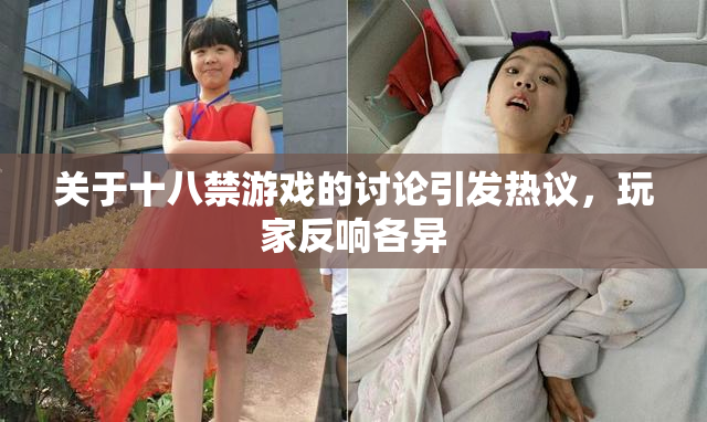 关于十八禁游戏的讨论引发热议，玩家反响各异