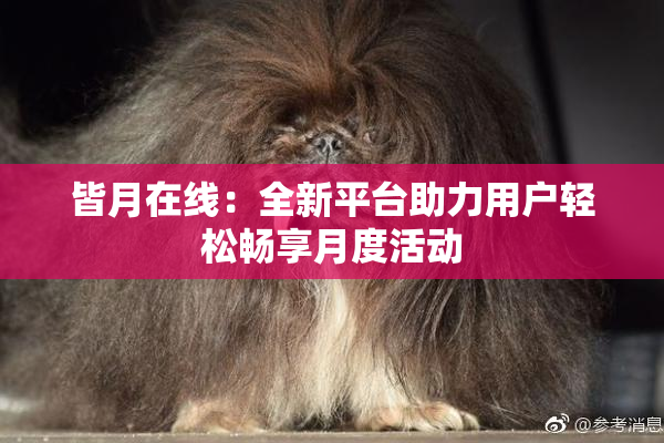皆月在线：全新平台助力用户轻松畅享月度活动