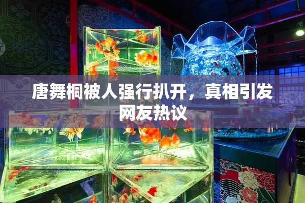 唐舞桐被人强行扒开，真相引发网友热议