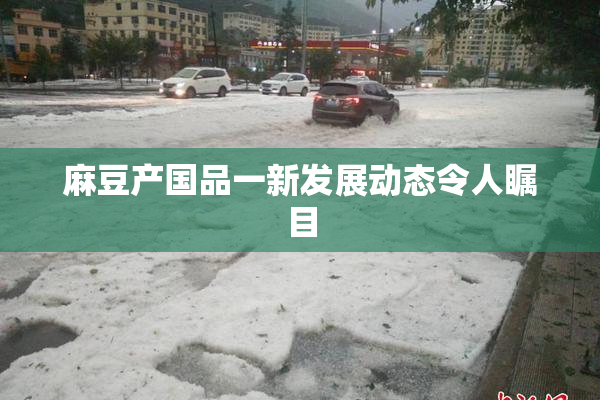 麻豆产国品一新发展动态令人瞩目