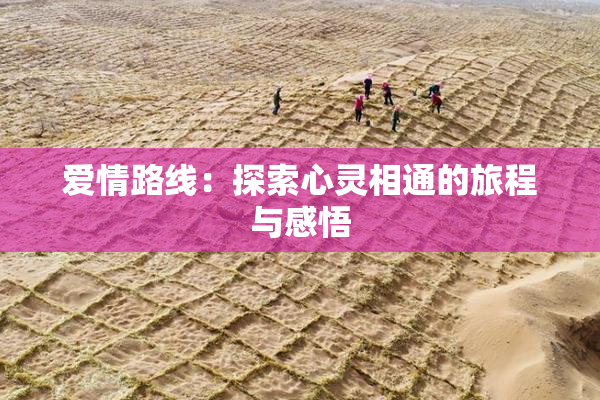 爱情路线：探索心灵相通的旅程与感悟