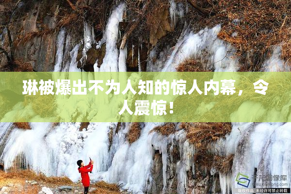 琳被爆出不为人知的惊人内幕，令人震惊！