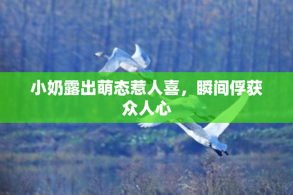 小奶露出萌态惹人喜，瞬间俘获众人心