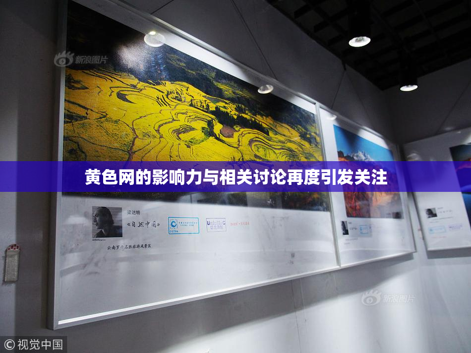 黄色网的影响力与相关讨论再度引发关注
