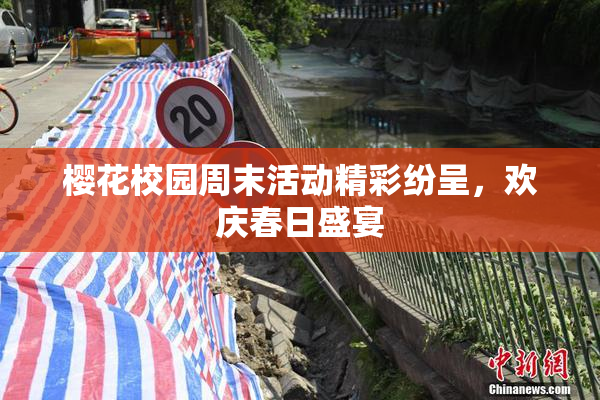 樱花校园周末活动精彩纷呈，欢庆春日盛宴