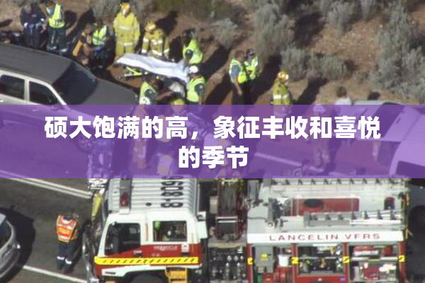 硕大饱满的高，象征丰收和喜悦的季节