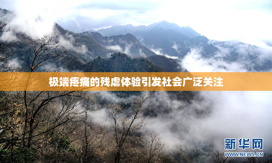 极端疼痛的残虐体验引发社会广泛关注