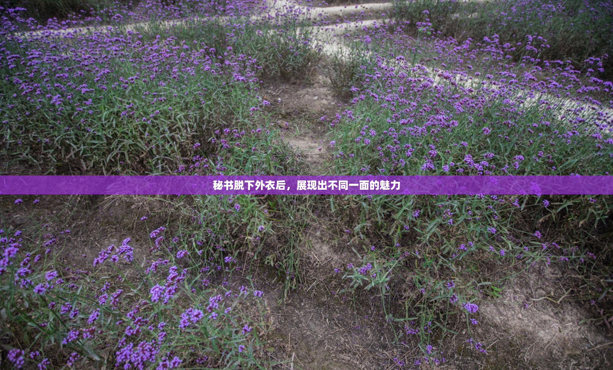 秘书脱下外衣后，展现出不同一面的魅力