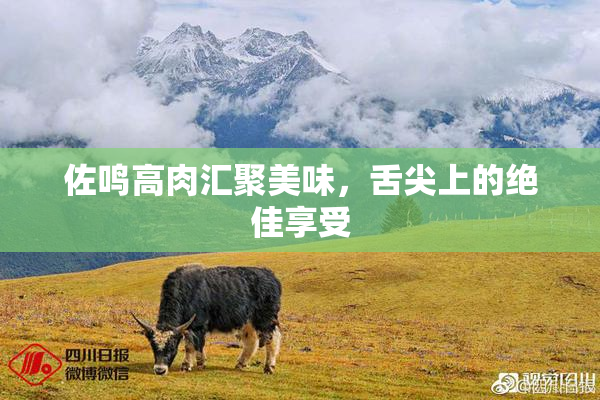 佐鸣高肉汇聚美味，舌尖上的绝佳享受