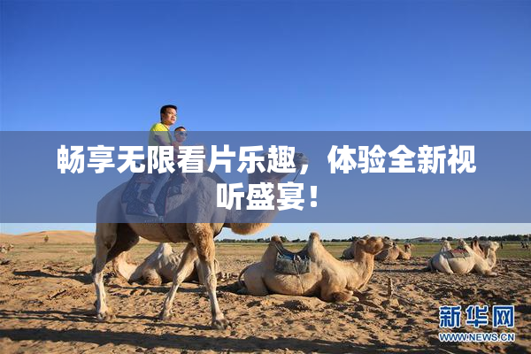 畅享无限看片乐趣，体验全新视听盛宴！