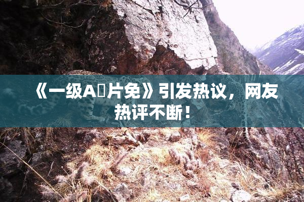 《一级A婬片免》引发热议，网友热评不断！