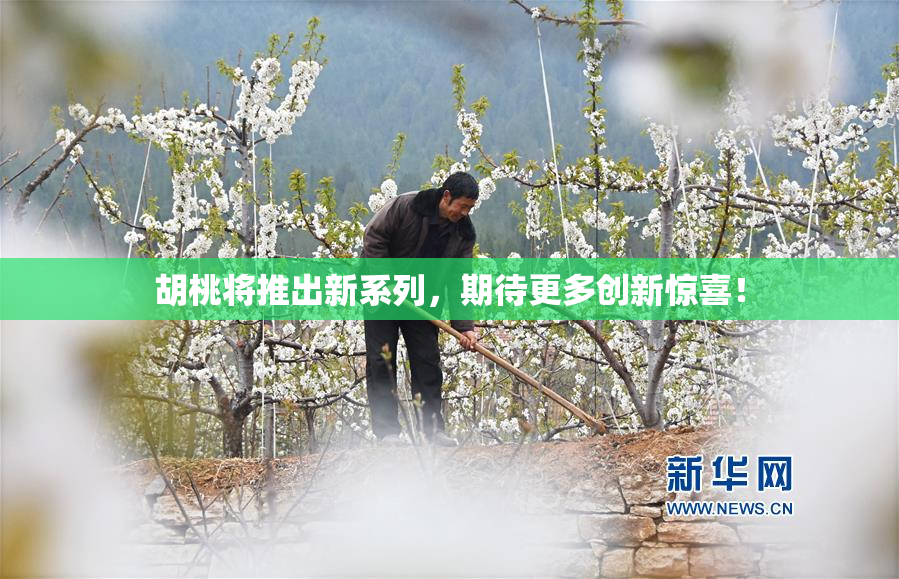 胡桃将推出新系列，期待更多创新惊喜！