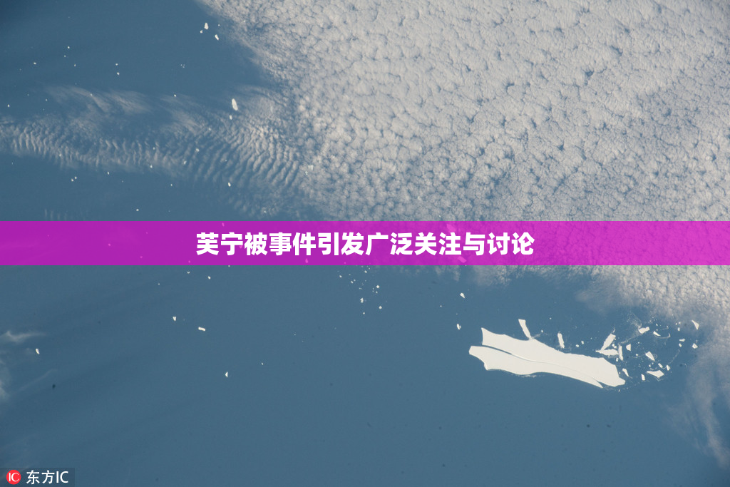 芙宁被事件引发广泛关注与讨论