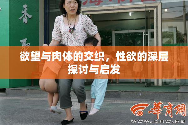 欲望与肉体的交织，性欲的深层探讨与启发