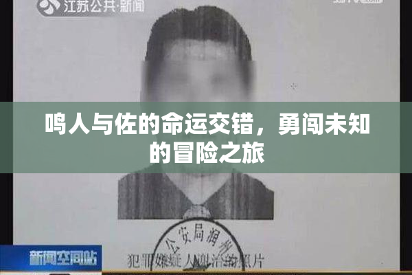鸣人与佐的命运交错，勇闯未知的冒险之旅