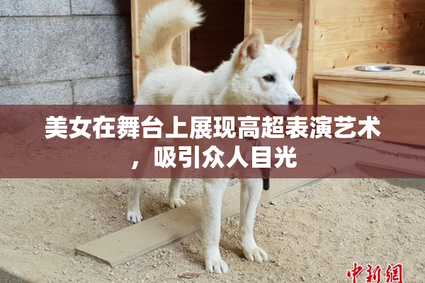 美女在舞台上展现高超表演艺术，吸引众人目光