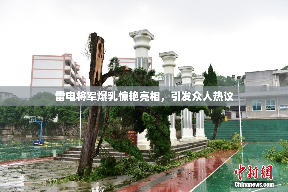 雷电将军爆乳惊艳亮相，引发众人热议