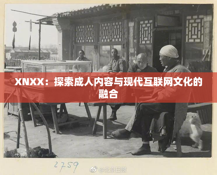 XNXX：探索成人内容与现代互联网文化的融合