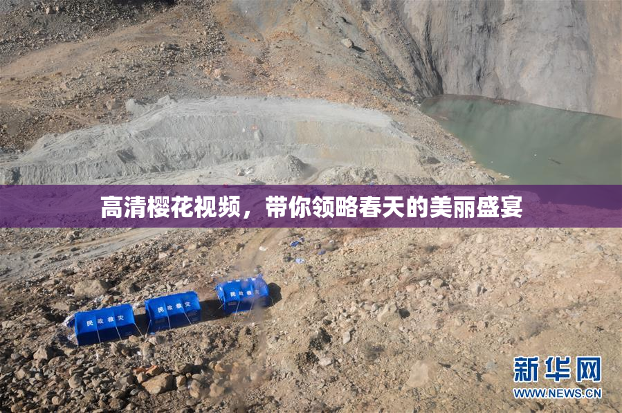 高清樱花视频，带你领略春天的美丽盛宴