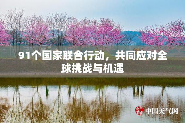 91个国家联合行动，共同应对全球挑战与机遇