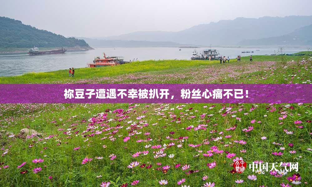 祢豆子遭遇不幸被扒开，粉丝心痛不已！